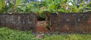  Plot – Exterior View View at Chembukkav - for Sale