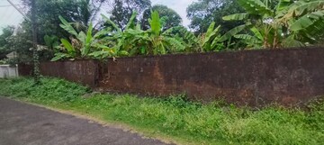 Plot Area in  Plot at Chembukkav – for Sale