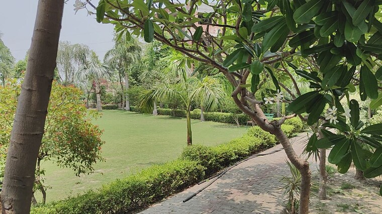 Garden, sector 20 yamuna expressway  350 Sq.Mt. Plot In Sector 20 Yamuna Expressway Greater Noida 9436930