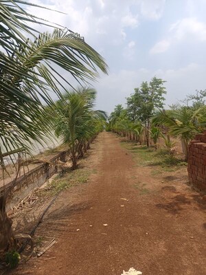  Plot – Exterior View View at Sejbahar - for Sale