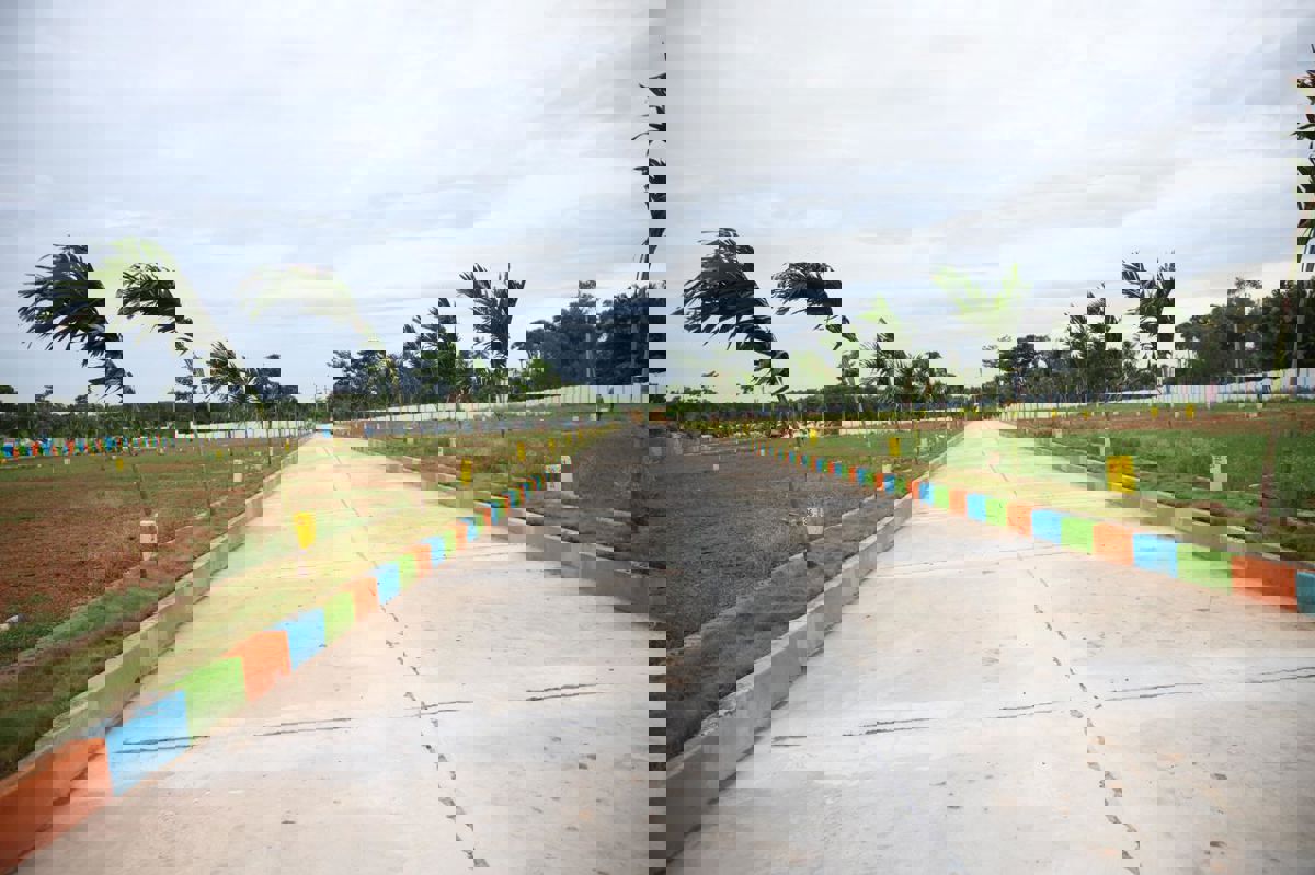 Plot For Sale in Bhogapuram