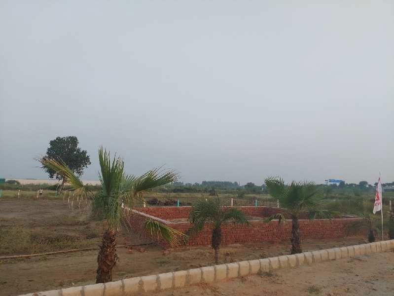 Plot For Sale in Harhua