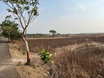 2700 Acre Land in Thane East