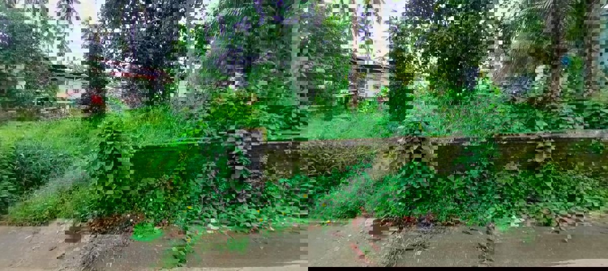 Plot For Sale in East Fort