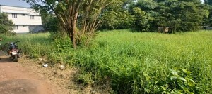 Plot Area in  Plot at Chembukkav – for Sale