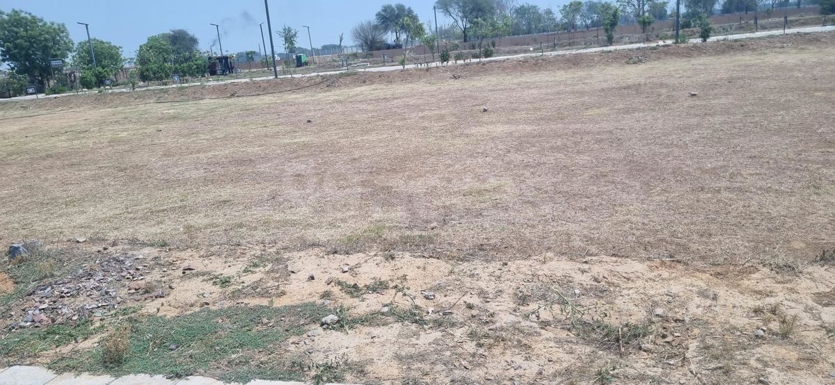 Plot For Sale in Sector 97