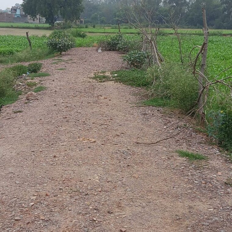 undefined, sector 56  174 Sq.Yd. Plot In Sector 56 Faridabad 9718446