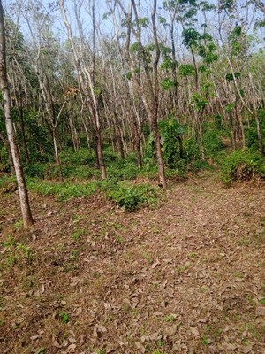  Land For Sale in Moodabidiri