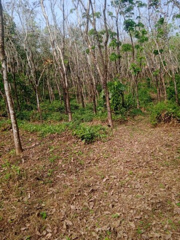  Land For Sale in Moodabidiri