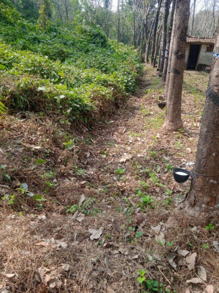 undefined, moodabidiri Commercial Land 4 Acre In Moodabidiri Mangalore 9718625