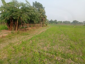  Plot For Sale in Sonarpur