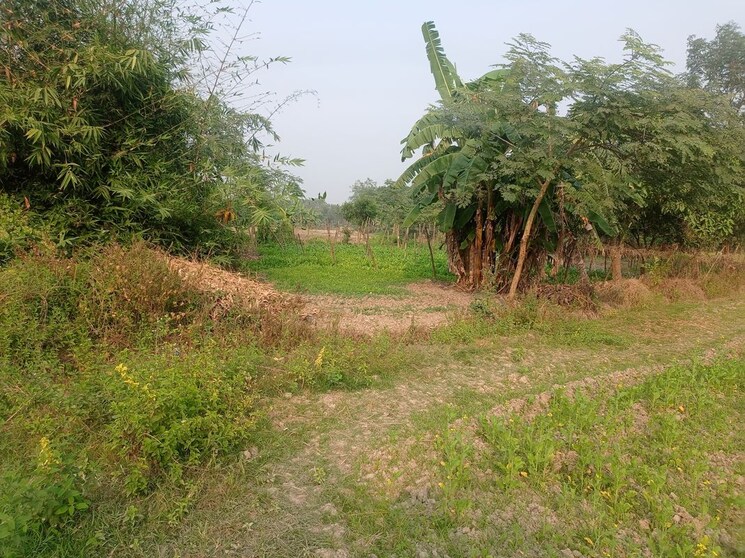 undefined, sonarpur  14400 Sq.Yd. Plot In Sonarpur Kolkata 9712232