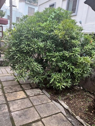 2 BHK Villa – Exterior View View at Sangli Miraj Road - for Sale