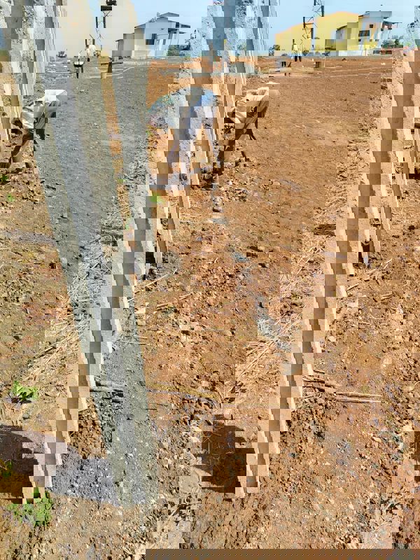 Plot For Sale in Noida Extension