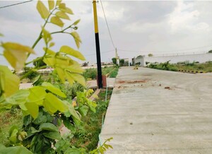  Plot For Sale in Rohta