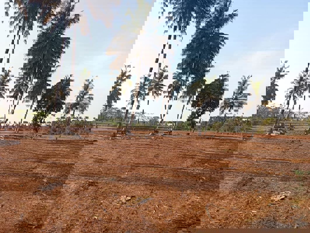 Plot For Sale in Nelamangala