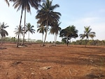 9 Acre Plot in Nelamangala