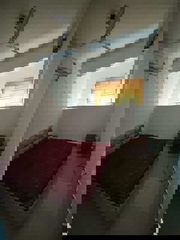 1 BHK Apartment For Rent in Paras Seasons