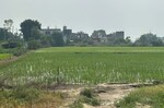 950 Sq.Ft. Plot in Dalelpur Village