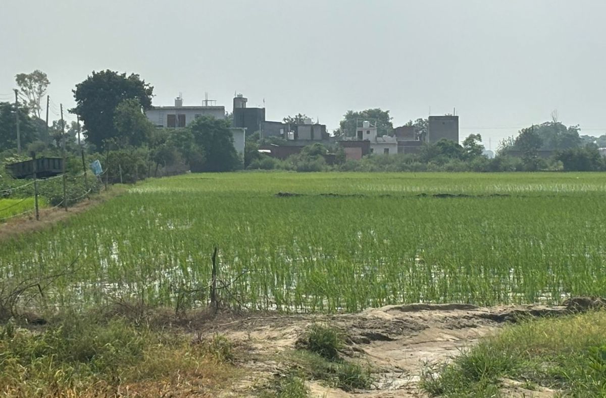 Plot For Sale in Dalelpur Village