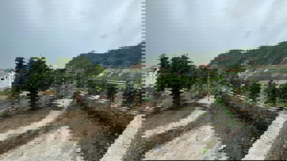 Plot For Sale in Titardi