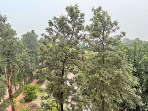 3 BHK Apartment – Garden View at Chattarpur - for Rent