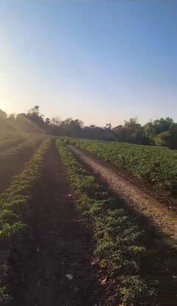 Plot Area in  Plot at Mahim – for Sale