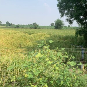 Plot Area in  Plot at Jewar – for Sale