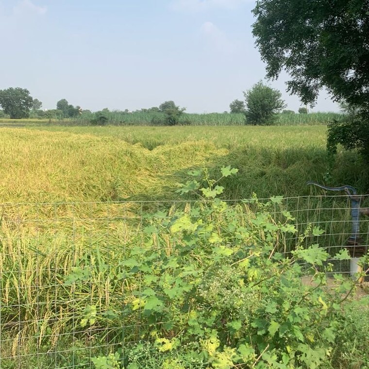 undefined, jewar  1018 Sq.Yd. Plot In Jewar Greater Noida 9721131