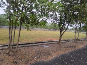 Plot Area in  Plot at Tagarapuvalasa – for Sale