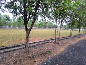 Plot Area in  Plot at Tagarapuvalasa – for Sale
