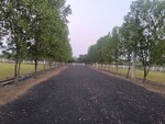 200 Sq.Yd. Plot in Tagarapuvalasa