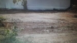  Plot For Sale in Jakkuru