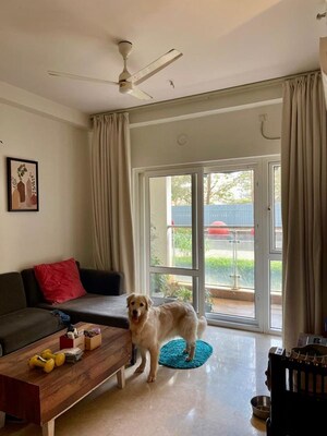 Living Room in 2.5 BHK Apartment at Prestige Pine Wood, Koramangala – for Rent