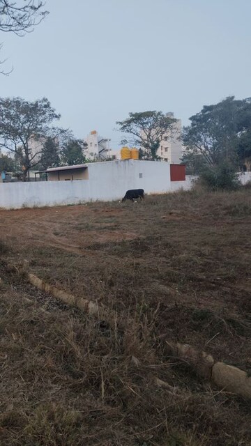 Plot Area in  Plot at Electronic City – for Sale