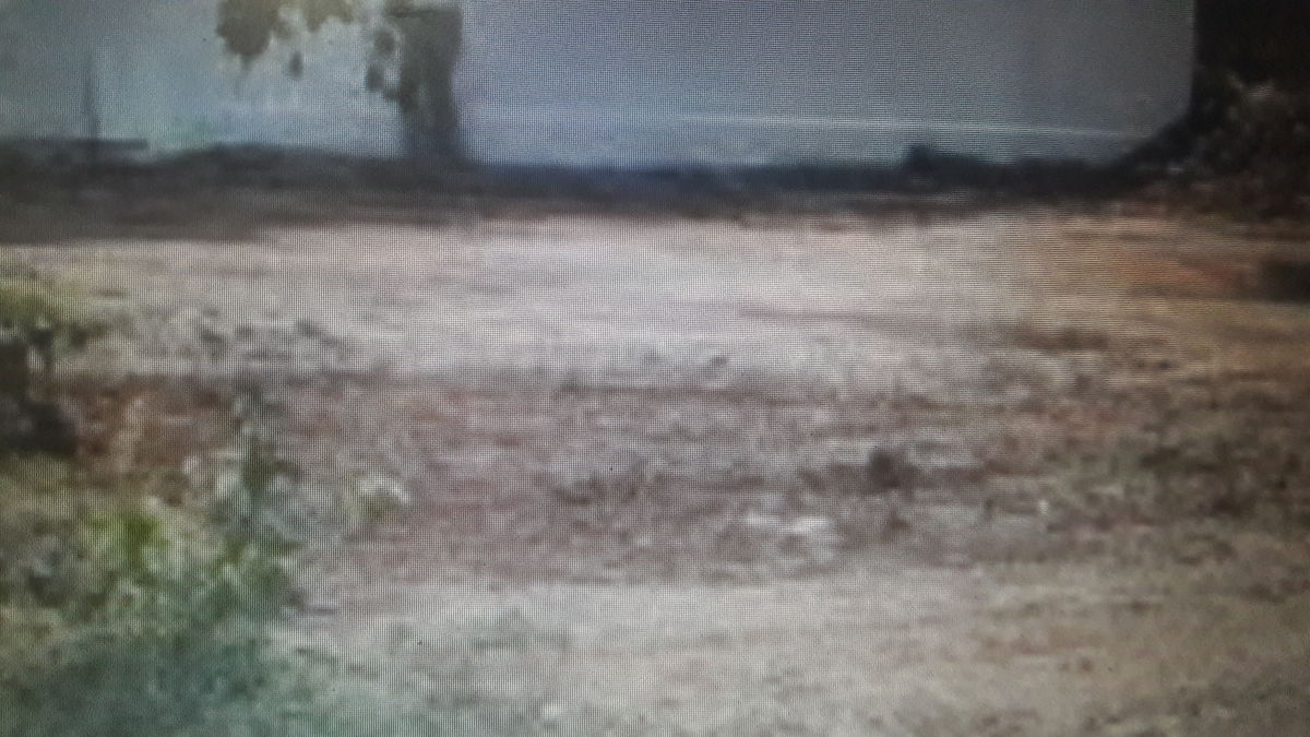 Plot For Sale in Tata Nagar