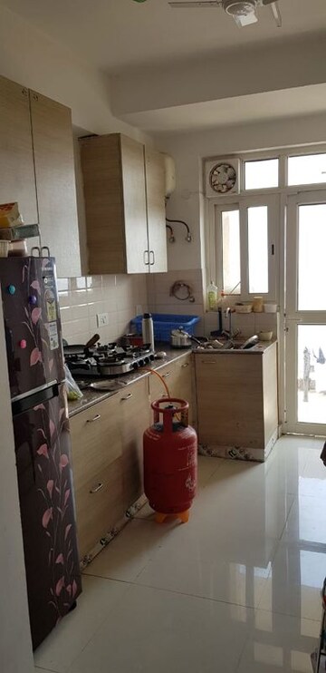 3 BHK Apartment For Rent in SS The Coralwood, Sector 84