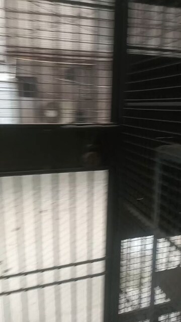 Kitchen in Studio Builder Floor at Lajpat Nagar I – for Rent