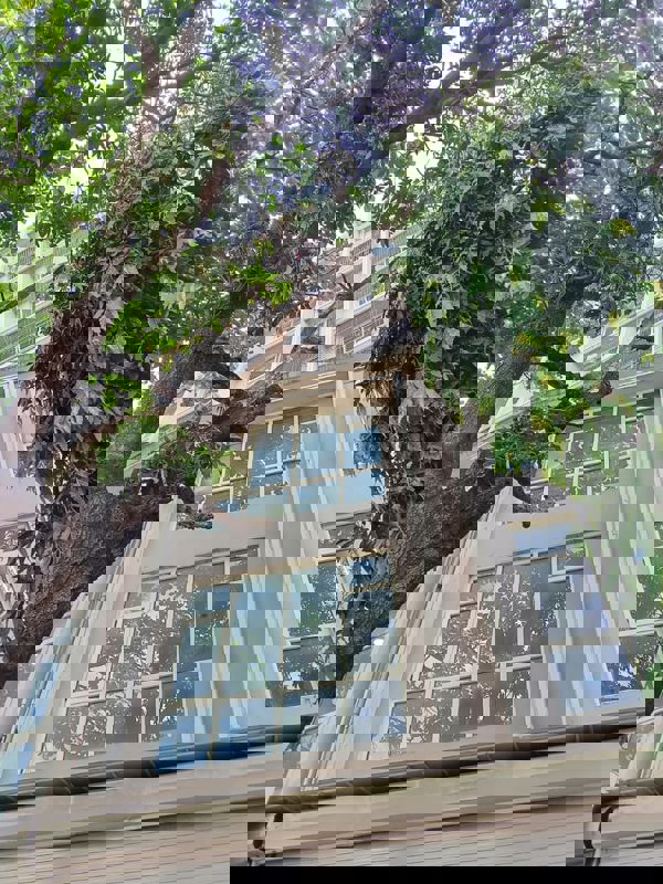 1 BHK Apartment For Rent in Ami Vini Solitaire