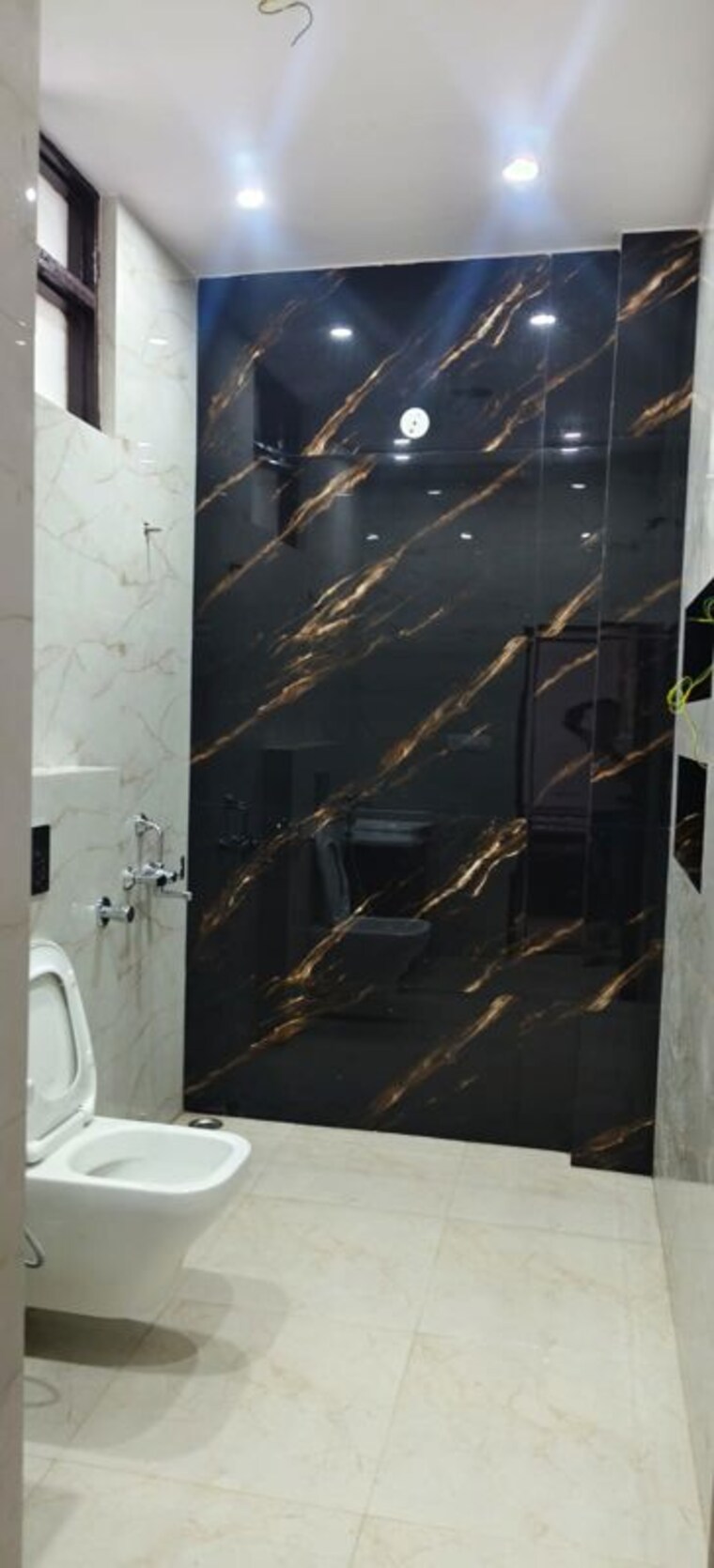 Attached Bathroom, sector 36 Pg For Boys In Sector 36 9722264