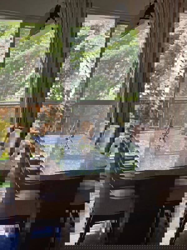 3 BHK + Pooja Room Apartment For Rent in Albert Court