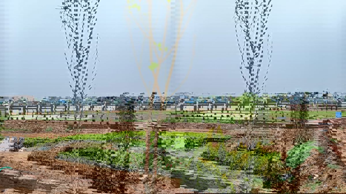 Plot For Sale in Panchkula Urban Estate