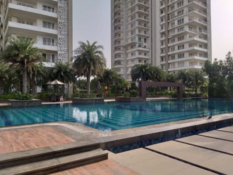 Swimming Pool, puri-emerald-bay 2 Bedroom 1550 Sq.Ft. Apartment In Sector 104 Gurgaon 9722463