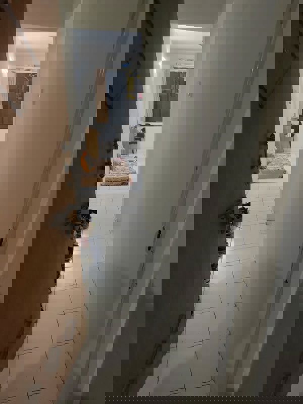 1 BHK Apartment For Rent in Ganga Hamlet