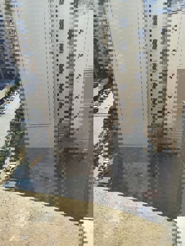 3 BHK Apartment For Rent in Magnolia Enclave