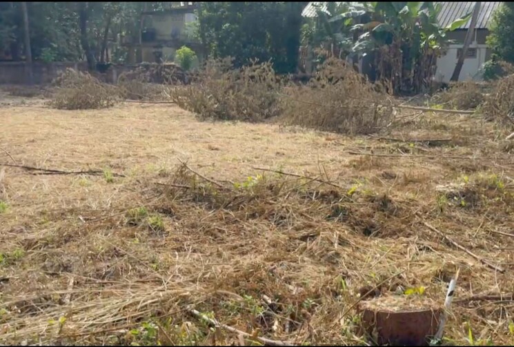 undefined, kuriachira  7624 Sq.Ft. Plot In Kuriachira Thrissur 9722962