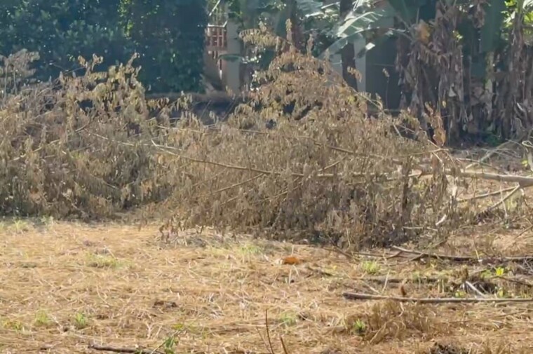 undefined, kuriachira  7624 Sq.Ft. Plot In Kuriachira Thrissur 9722962