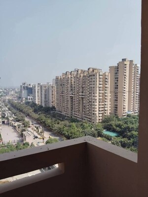 3 BHK Apartment For Rent in Radicon Vedantam, Sector 16c Greater Noida
