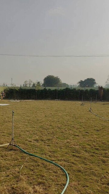 Plot Area in  Land at Vinayak Ganpati Mini Farmhouse, Manesar Sector 1a – for Sale