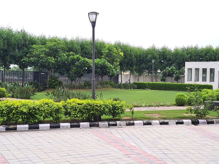 Master Bedroom, landmark-the-residency 2 Bedroom 1350 Sq.Ft. Apartment In Tikampur 54 Gurgaon 8497167